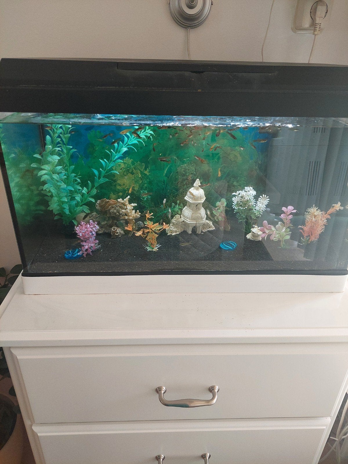 Aquarium, Dieren en Toebehoren, Ophalen of Verzenden