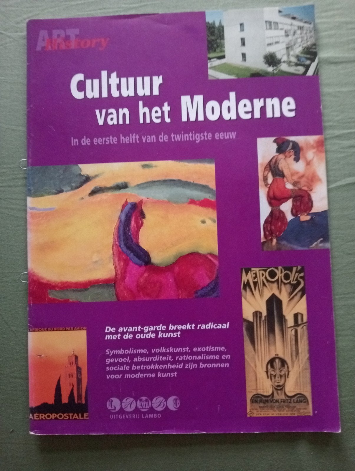 Cultuur van het Moderne - Kunstgeschiedenisboek, Ophalen of Verzenden