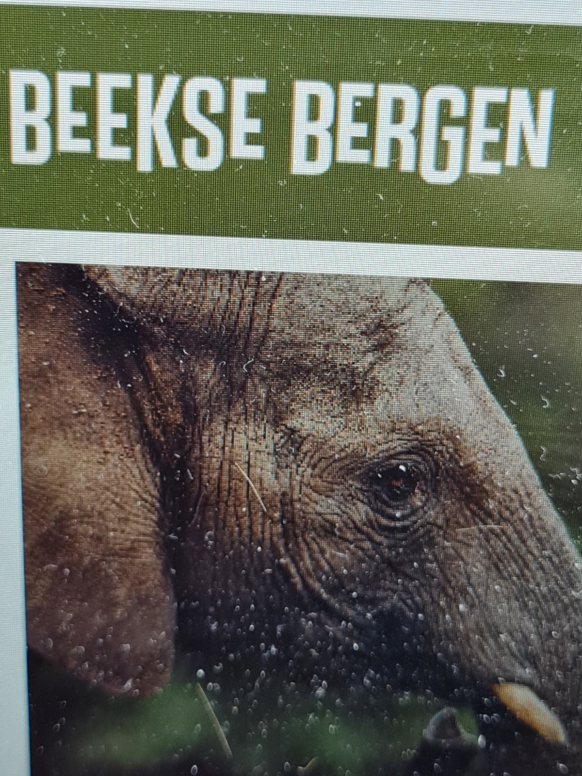 Safaripark Beekse Bergen e-tickets, meerdere aanwezig, Drie personen of meer, Ticket of Toegangskaart