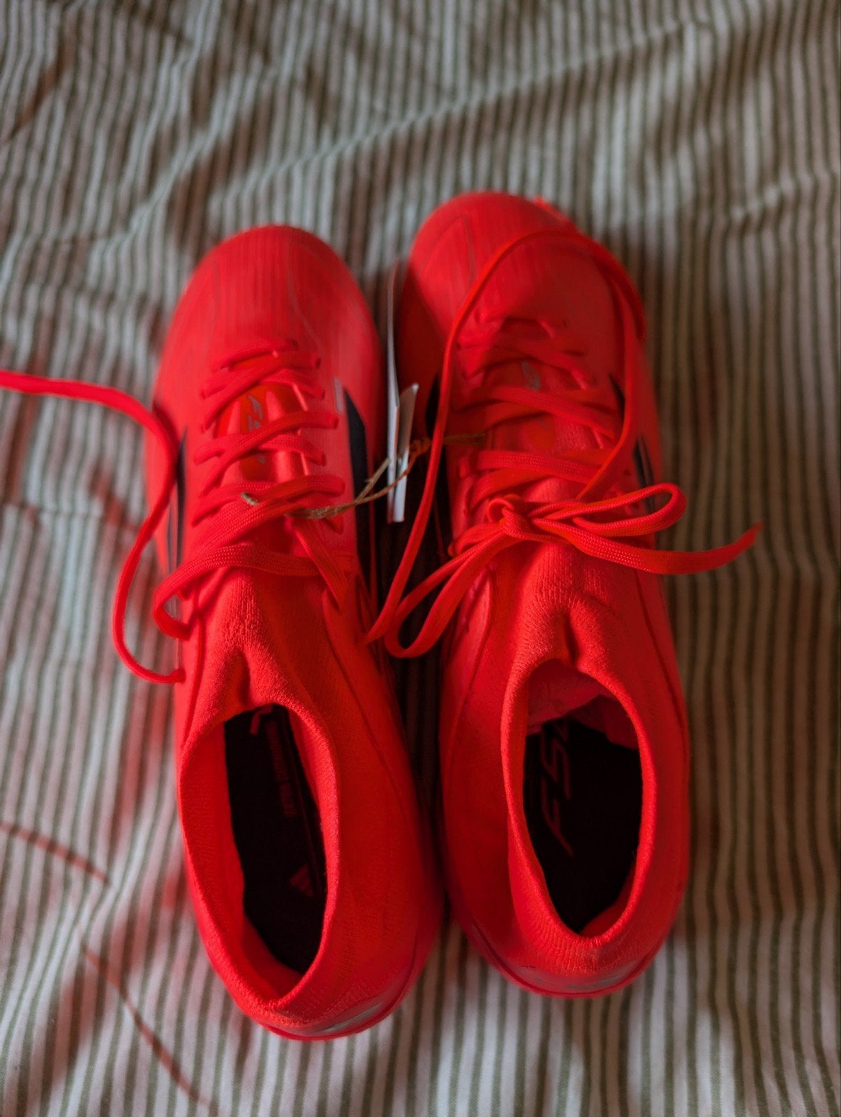 Adidas F50 PRO MID FG W Voetbalschoenen - Nieuw, Ophalen, Nieuw