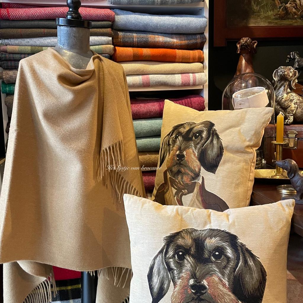 Engelse wollen poncho Bronte by Moon Camel, Westdijk 41 3241 GT Middelharnis, Ophalen of Verzenden, Info@hetlijstjevanbrocante.nl