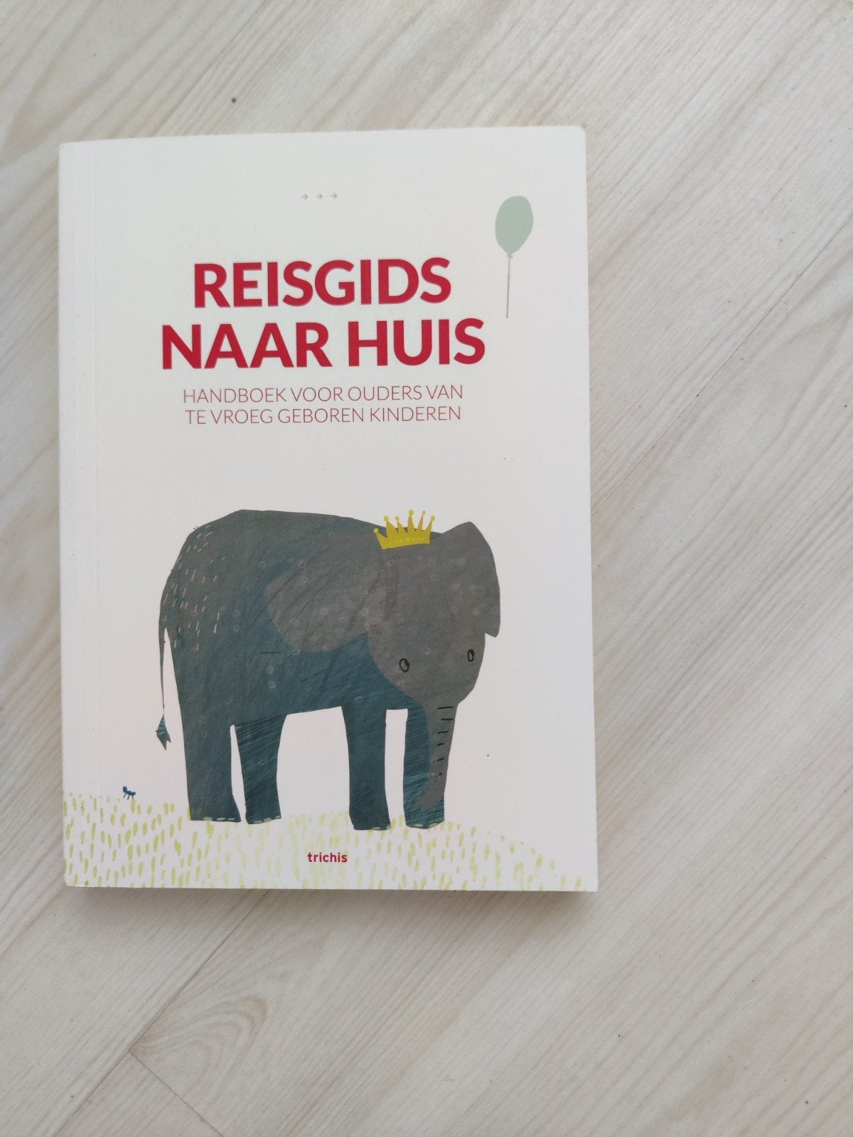 Reisgids naar Huis, Ophalen of Verzenden, Zo goed als nieuw, Zwangerschap en Bevalling, Angelique Hoffmann-Haringsma, Lidwine Schonau