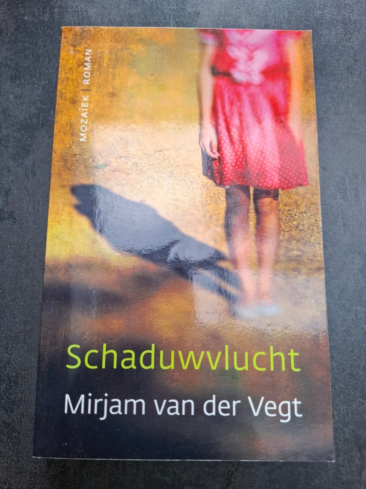 Mirjam van der Vegt - Schaduwvlucht + gratis boekje, Mozaïek, Ophalen of Verzenden, Zo goed als nieuw, Mirjam van der Vegt