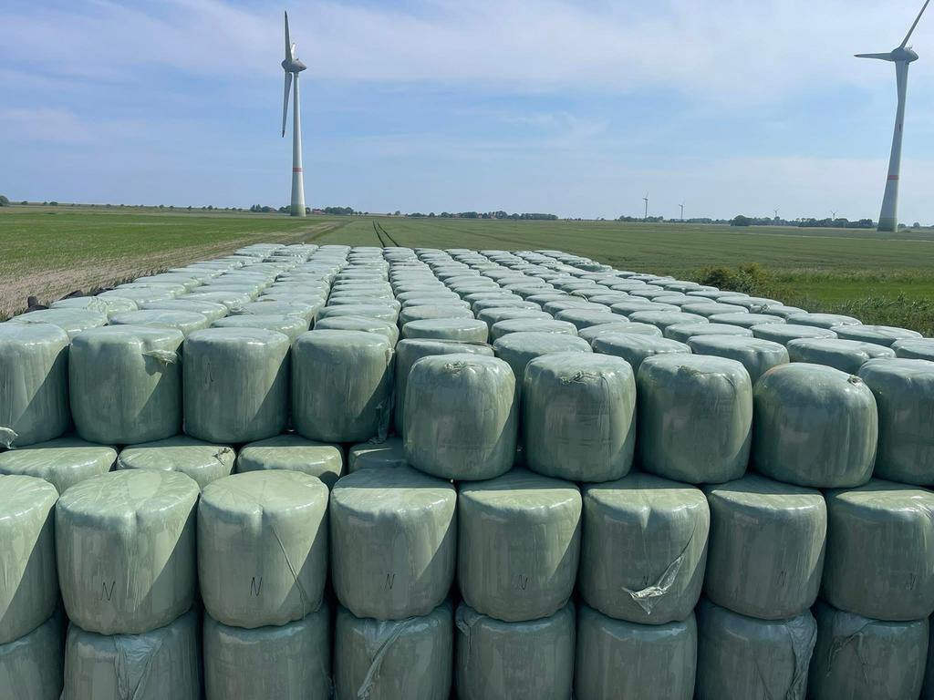 Grote balen paardenhooi/voordroog te koop, Dieren en Toebehoren, Ophalen of Verzenden, Vee