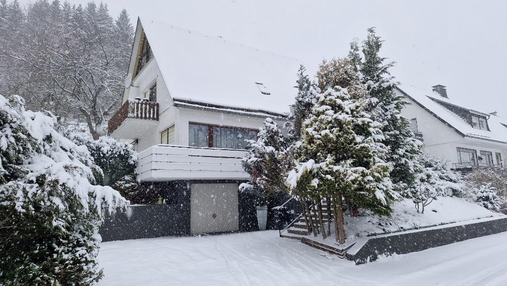 Ruime en comfortabele vakantie-appartementen in Winterberg, Vakantie, Internet, Dorp, 2 slaapkamers, Appartement