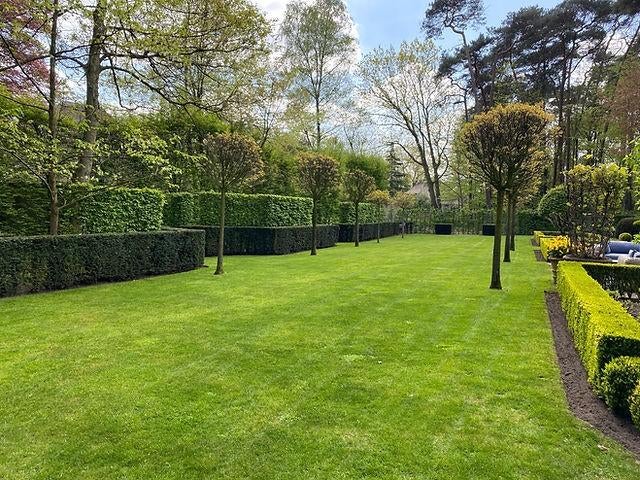 Tuinman/ Hovenier aangeboden, Diensten en Vakmensen, Tuinmannen en Stratenmakers, Garantie, Tuinontwerp
