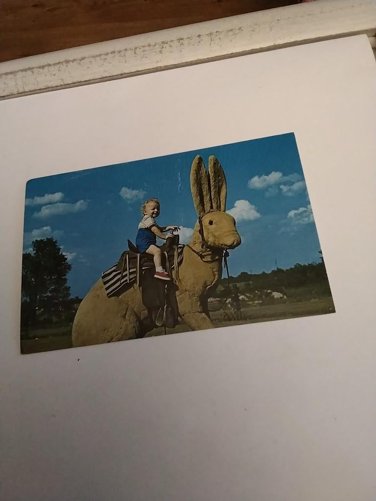 TEXAS. JACK. RABBIT, Ophalen of Verzenden, Voor 1920, Sterren en Beroemdheden