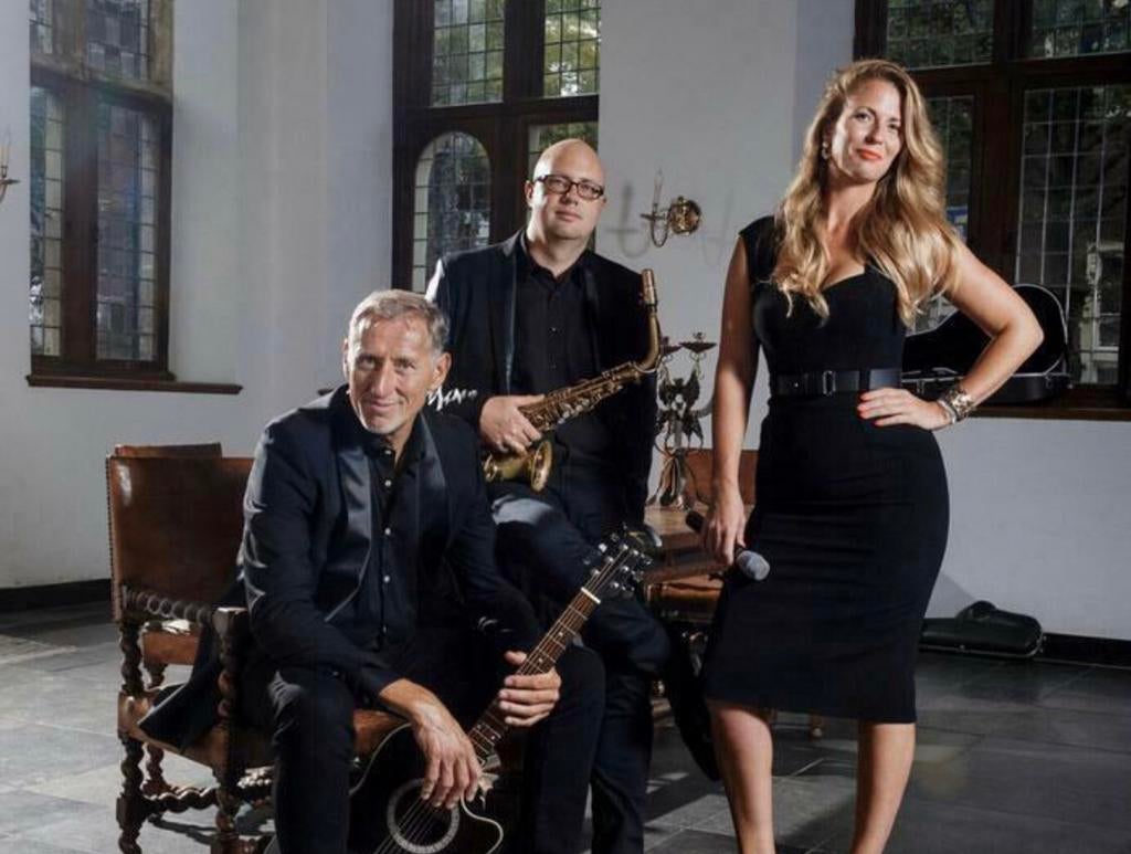 Zangeres pianist saxofonist + DJ thuis of uit LIVE events, Overige artiesten