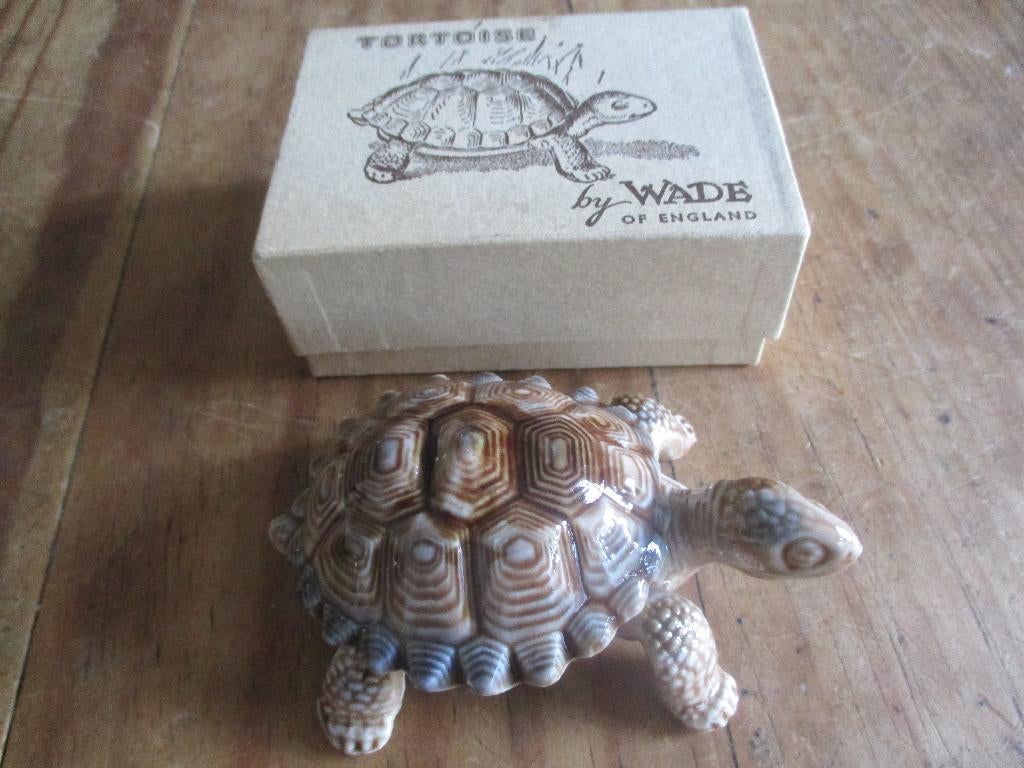 dekseldoosje schildpad Wade, Ophalen of Verzenden, Zo goed als nieuw, Dier