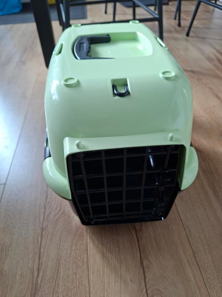 Kleine reismand konijn of kitten, Ophalen, Zo goed als nieuw