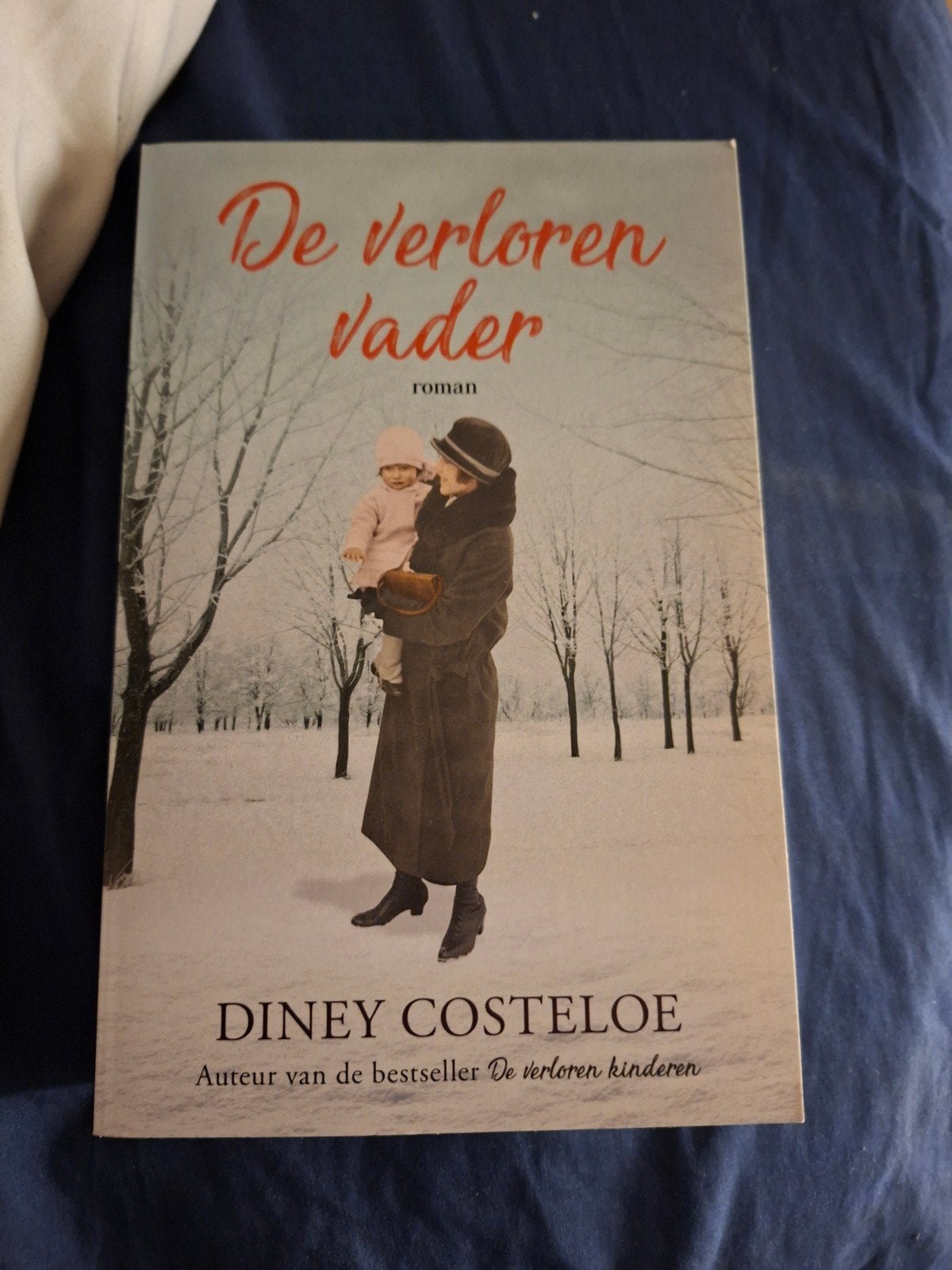de verloren vader, Ophalen of Verzenden, Nieuw
