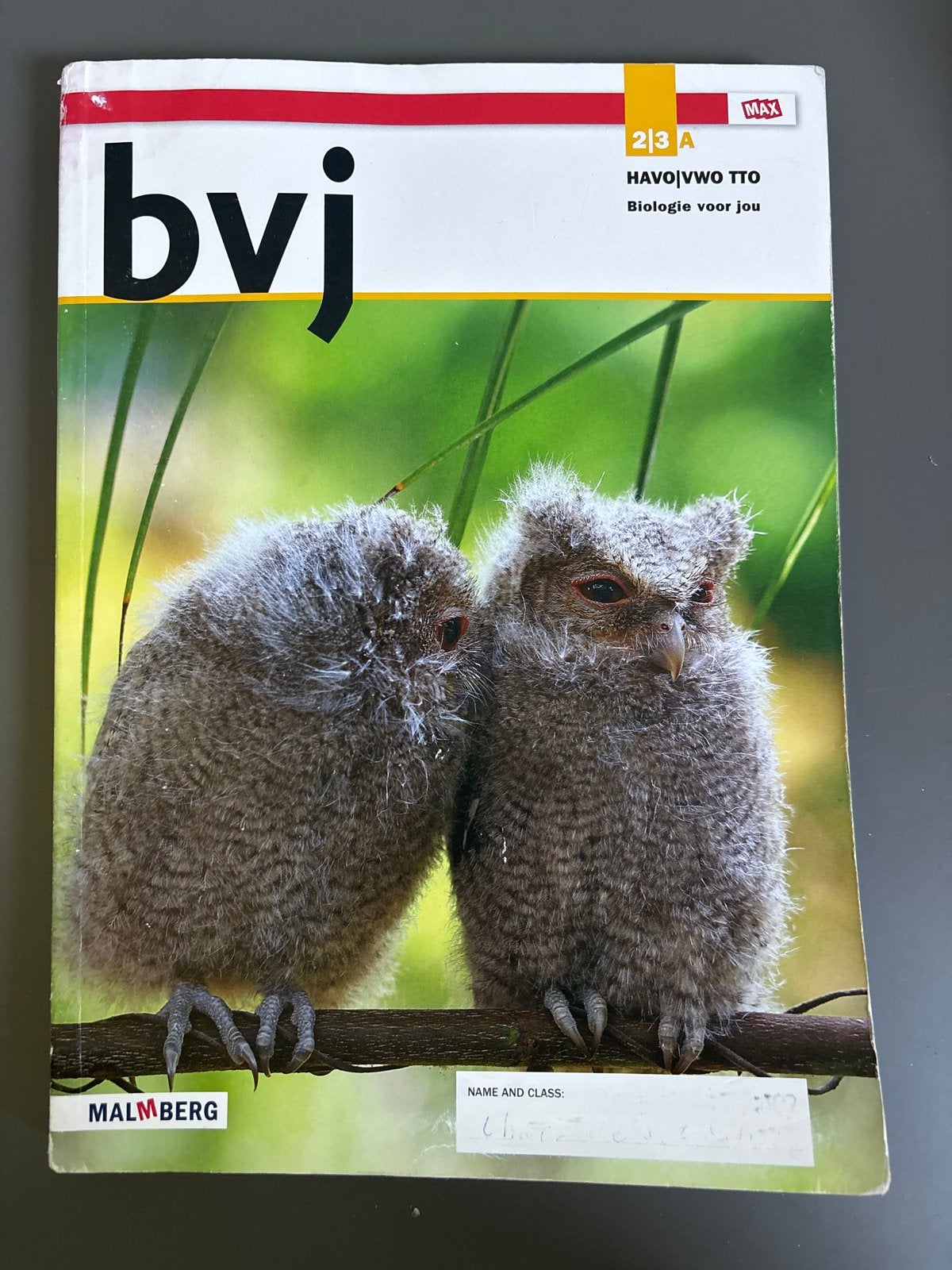 bvj Biologie voor jou 2|3 A HAVO|VWO TTO Malmberg, Ophalen of Verzenden, Gelezen, HAVO, Biologie