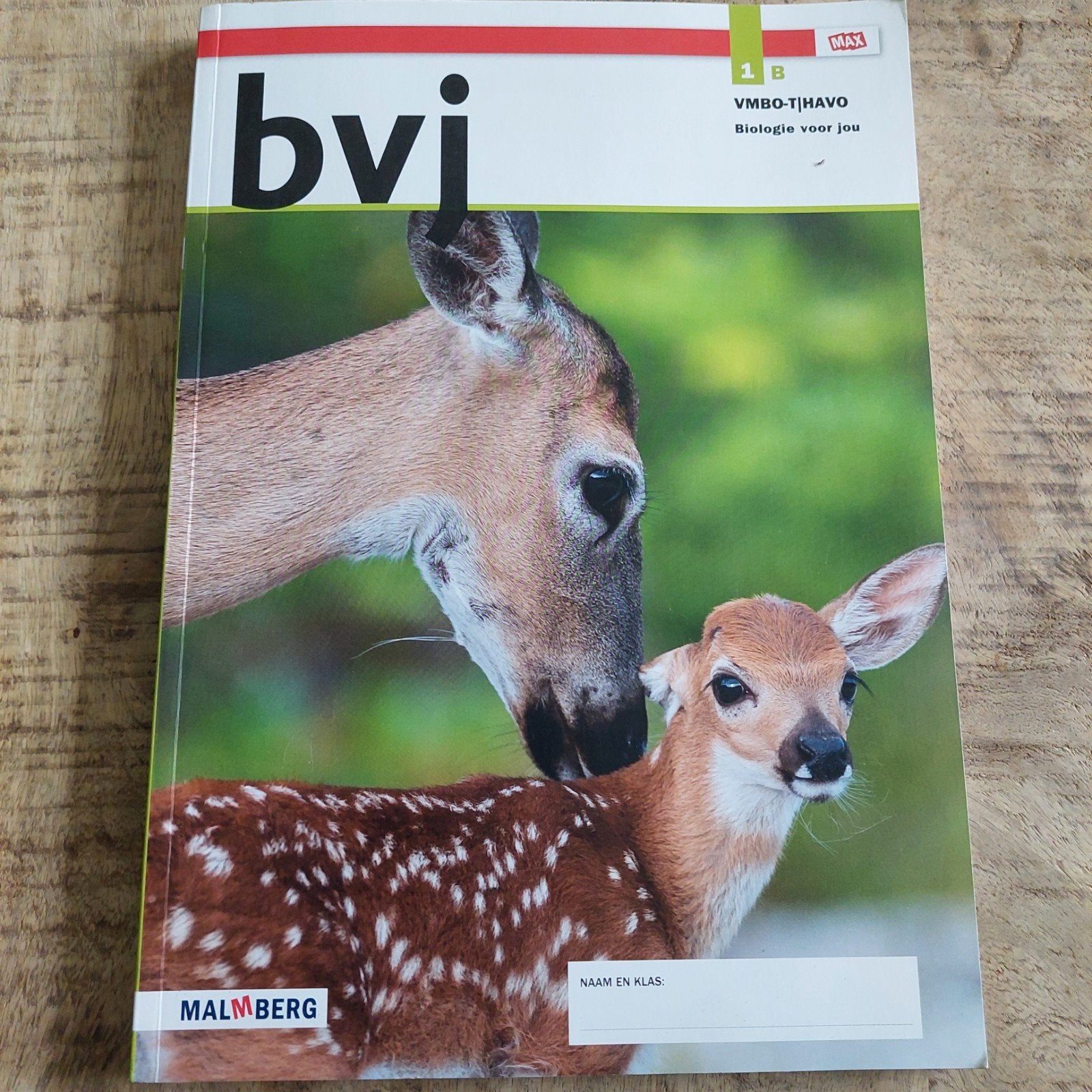 1B vmbo-T/Havo, Ophalen of Verzenden, Zo goed als nieuw, Overige niveaus, Nederlands