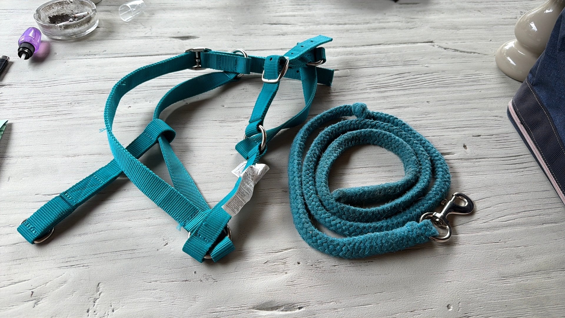 Halster + halstertouw voor pony - speelgoedpaard, Ophalen, Zo goed als nieuw
