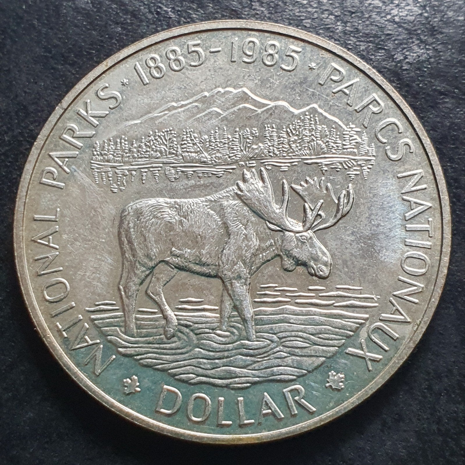 Grote zilveren dollar munt Canada, Nationale park., Ophalen of Verzenden, Noord-Amerika, Losse munt, Zilver