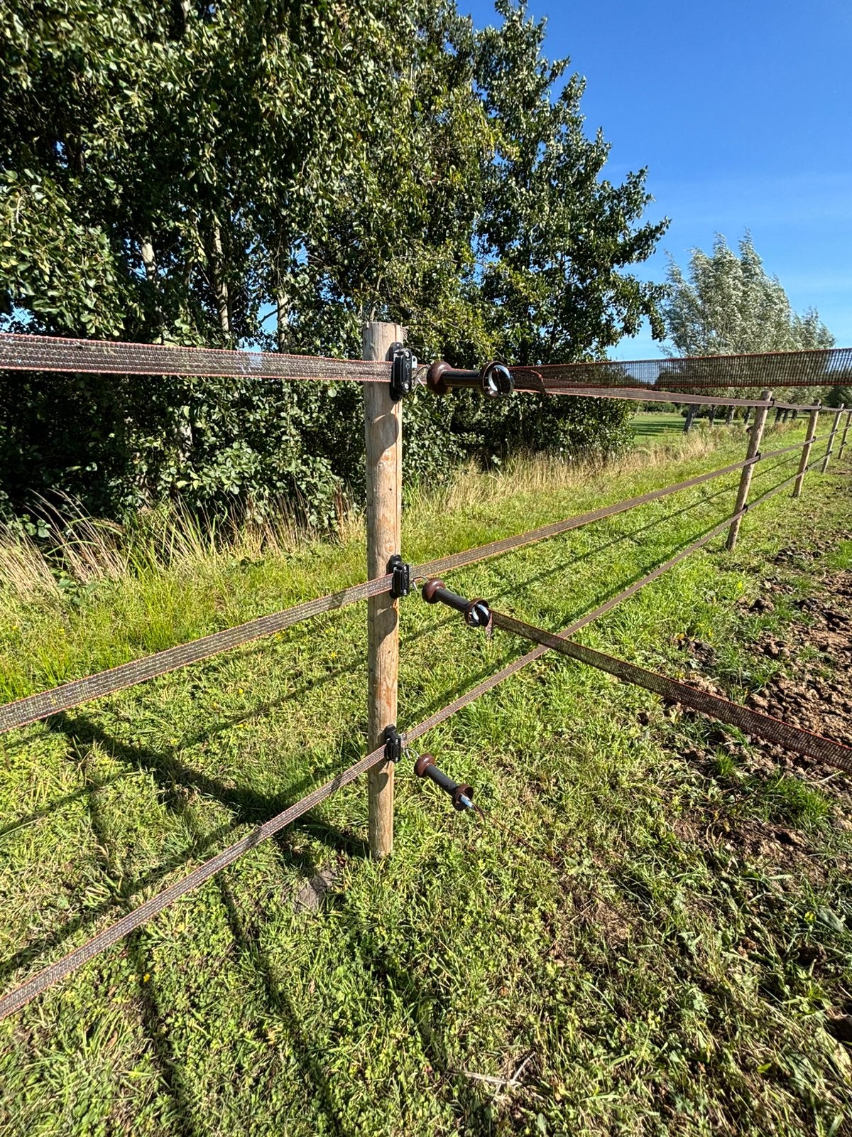 Afrastering voor paardenwei, Dieren en Toebehoren, Weidegang, 4 paarden of pony's of meer