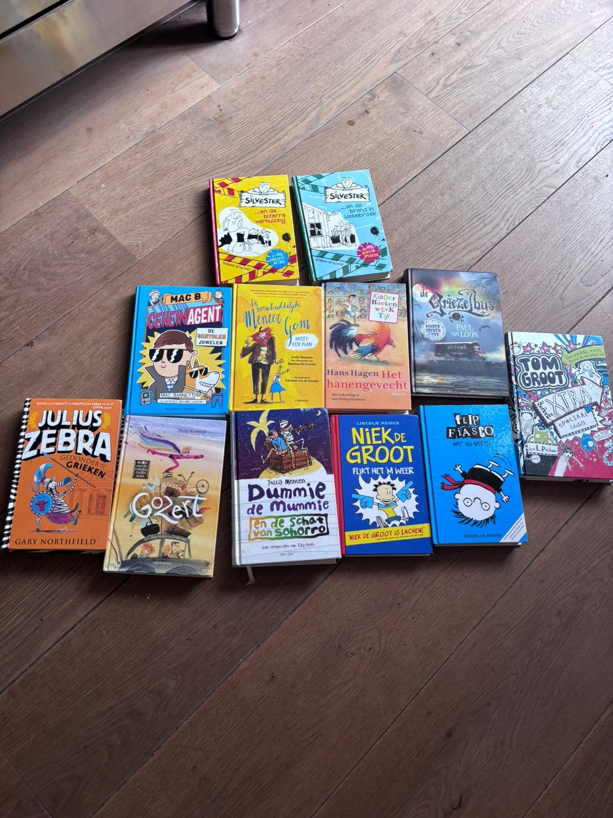 Kinderboeken zoals julius zebra, de griezelbus en silvester, Ophalen, Zo goed als nieuw