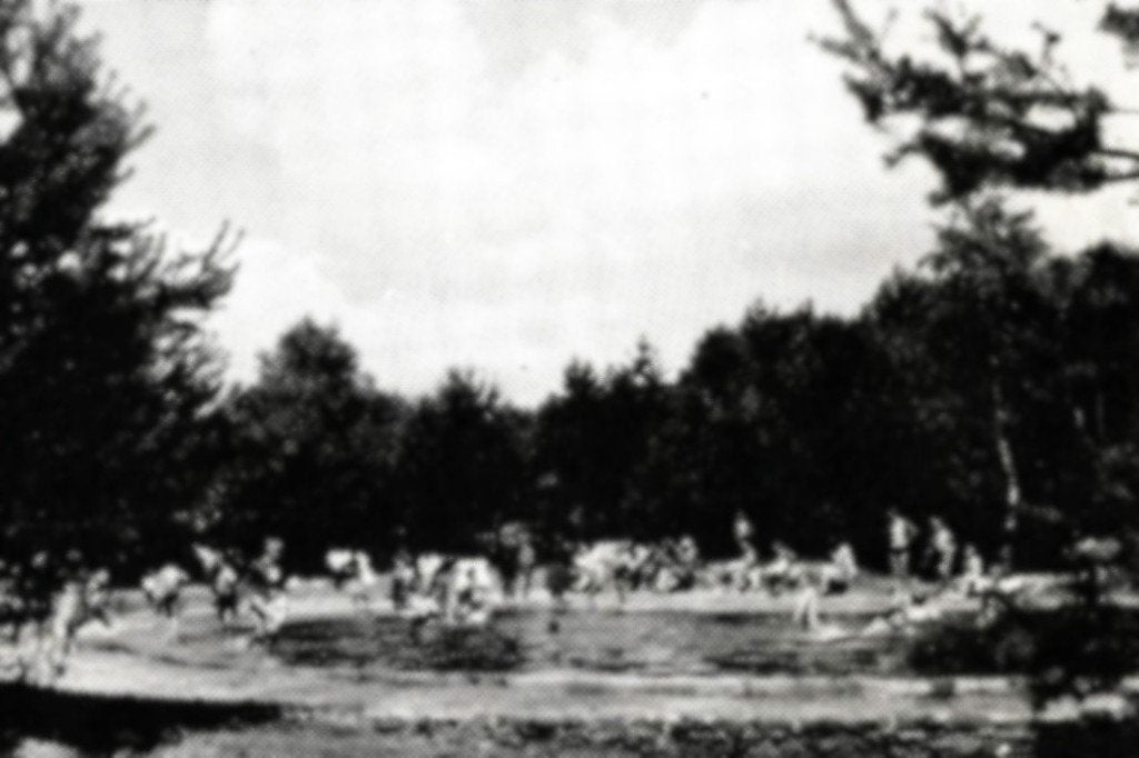969004	Bennekom	De Dikkenberg	 	 VVV infokaart Niet gelopen, Ophalen of Verzenden, 1960 tot 1980, Ongelopen, Gelderland