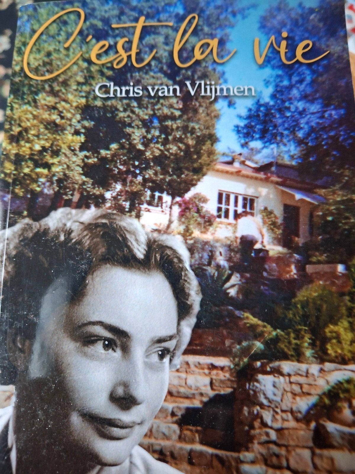 Boeken van Chris van Vlijmen: C'est la vie & Déjà vu, Boeken, Ophalen, Zo goed als nieuw, Chris van Vlijmen, Nederland