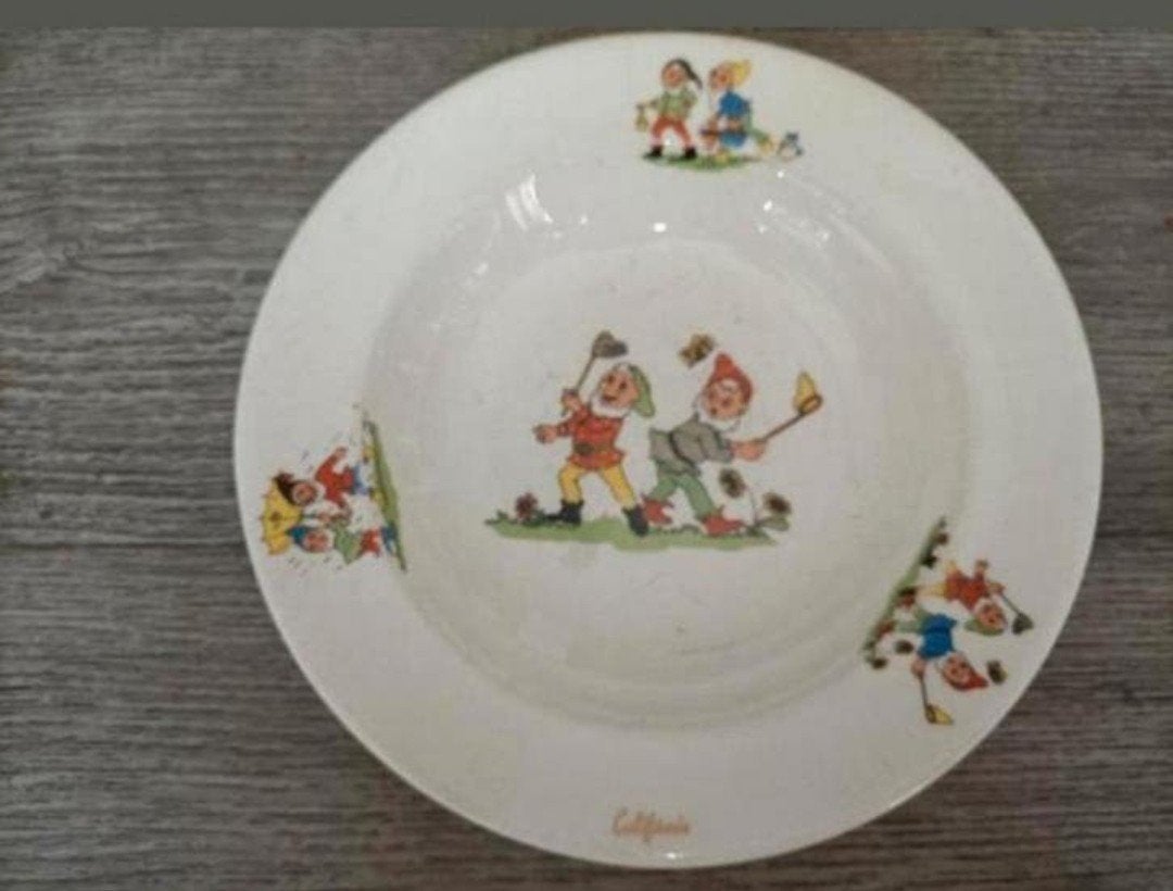 ❇️retro bord van california❇️, Verzenden