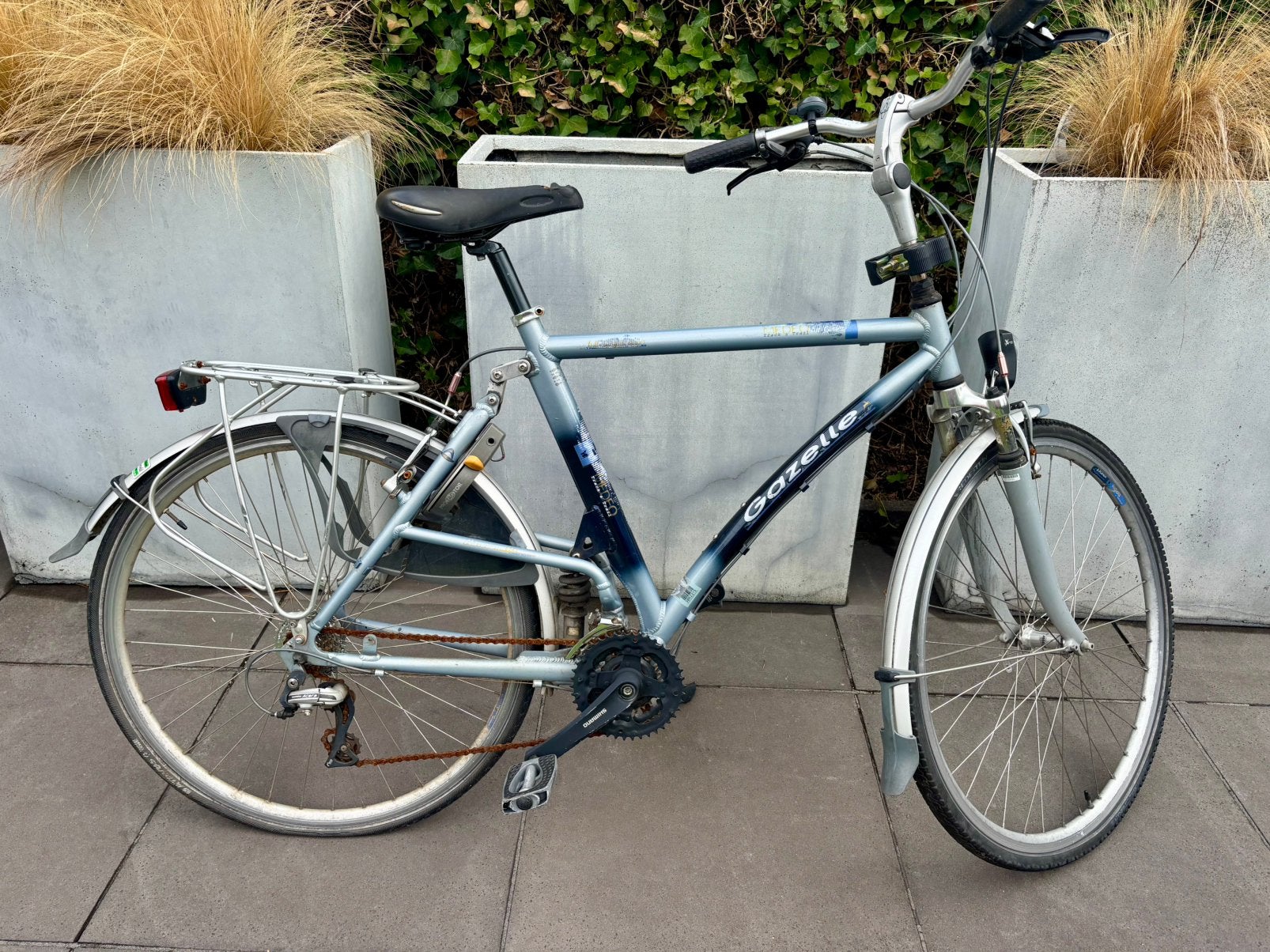 Gazelle Medeo Track & Trail Allround herenfiets - 57inch, Fietsen en Brommers, Fietsen | Heren | Herenfietsen, Ophalen, Gebruikt