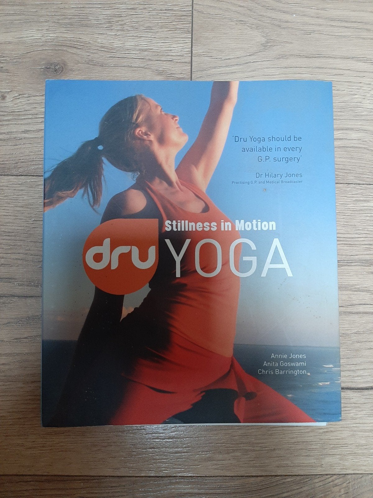 Dru Yoga: Stillness in Motion - Boek over Yoga en Welzijn, Boeken, Ophalen of Verzenden, Zo goed als nieuw, Gezondheid en Conditie
