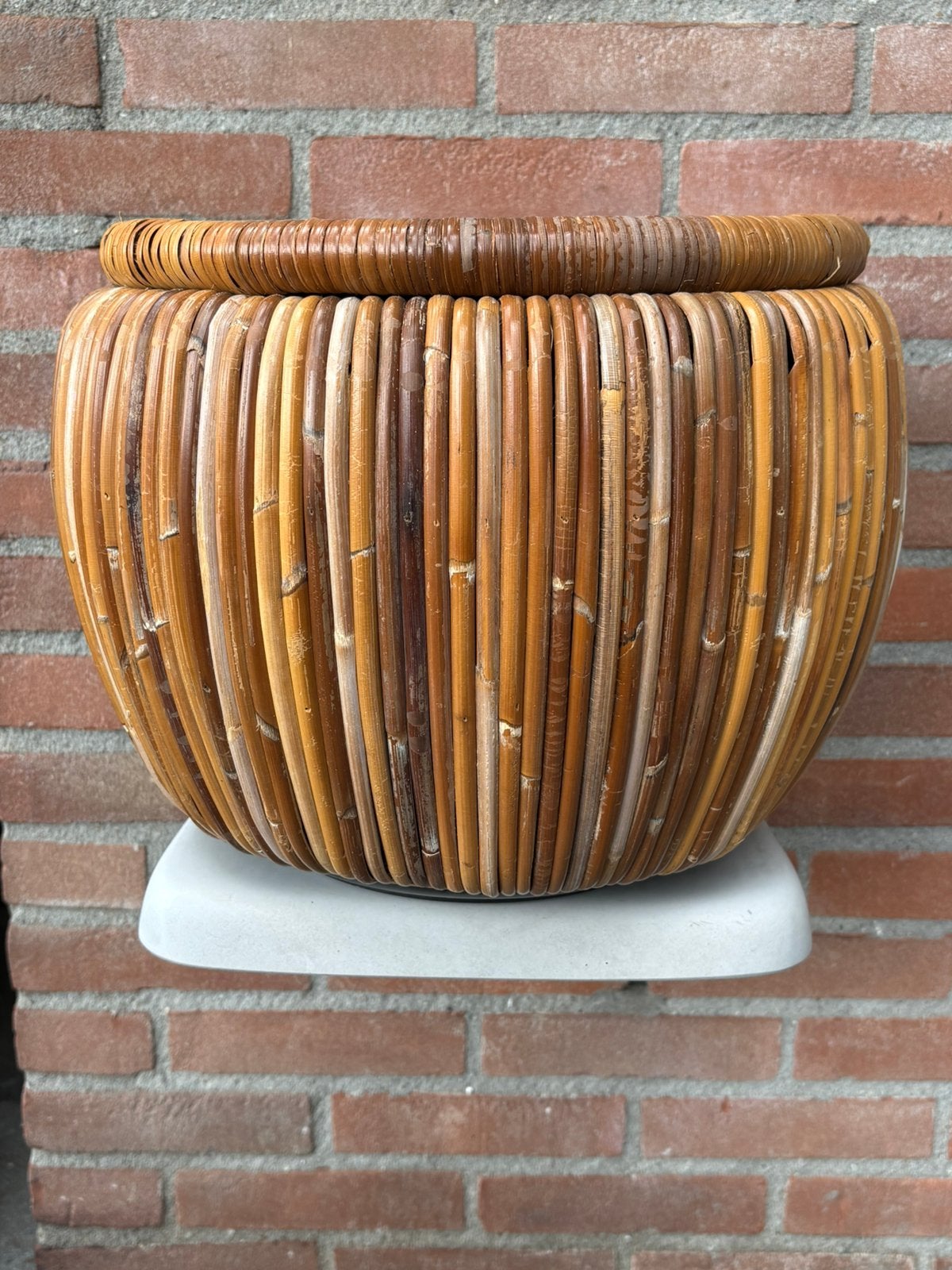 Bloempot, Ophalen, Halfschaduw, Minder dan 100 cm