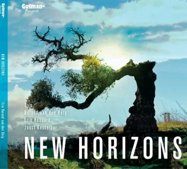 Trio berend van den berg - new horizons cd 8718868154323, Verzenden