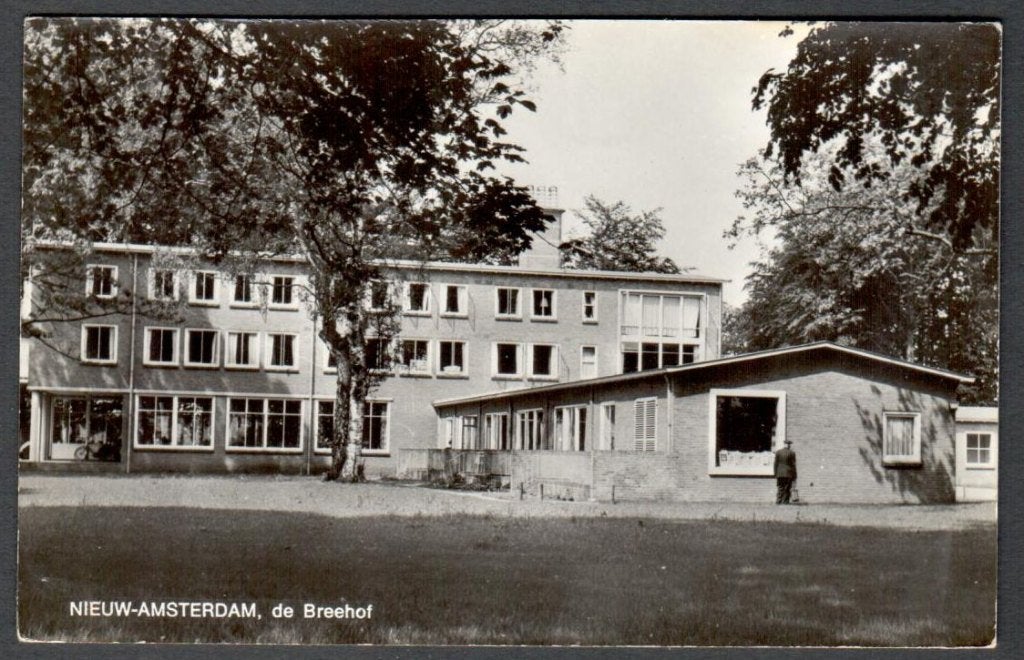 Oude Ansicht - Nieuw-Amsterdam de Breehof - Dr., Ophalen of Verzenden, 1940 tot 1960, Ongelopen, Drenthe