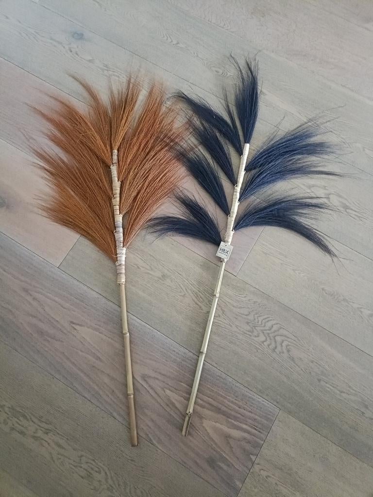 Gratis droogbloem / palm, Ophalen of Verzenden