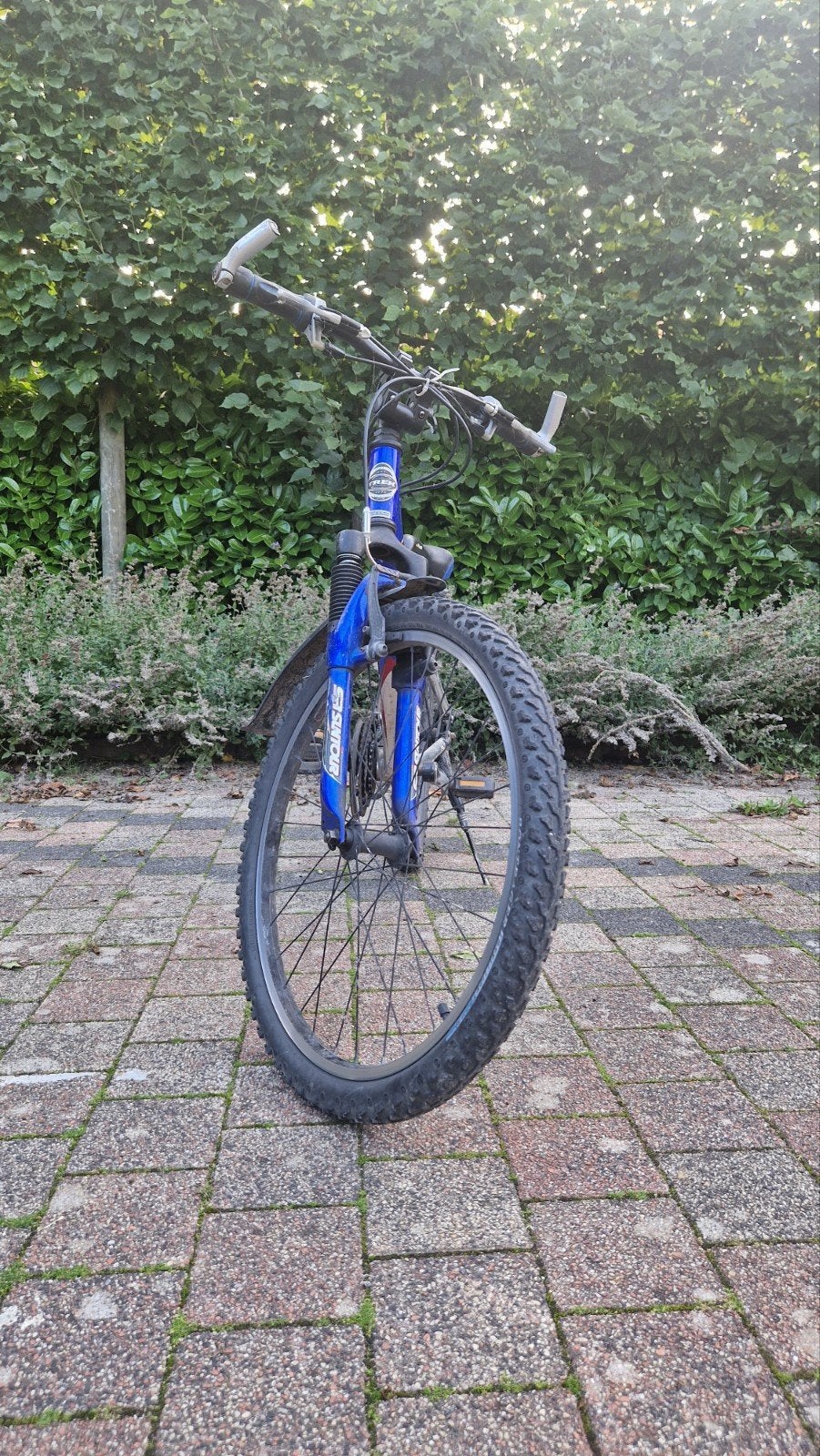 leuke ntb, Ophalen, 24 inch of meer, Gebruikt, Velgrem