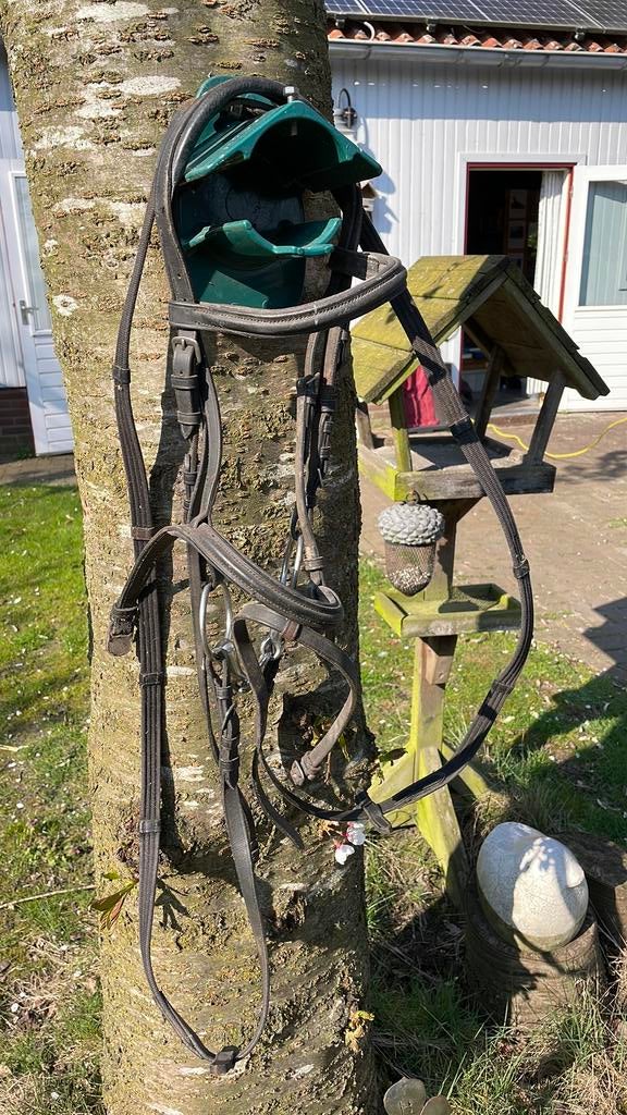 Hoofdstel pasrd zwart met leidsels en bit, Ophalen, Gebruikt, Dressuur