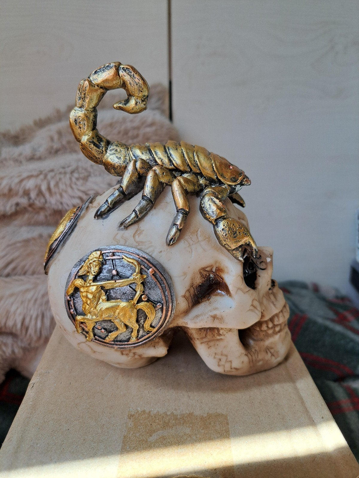 Nieuw Schedel met schorpioen en sterrenbeelden, Verzamelen, Verzenden, Nieuw, Fantasy