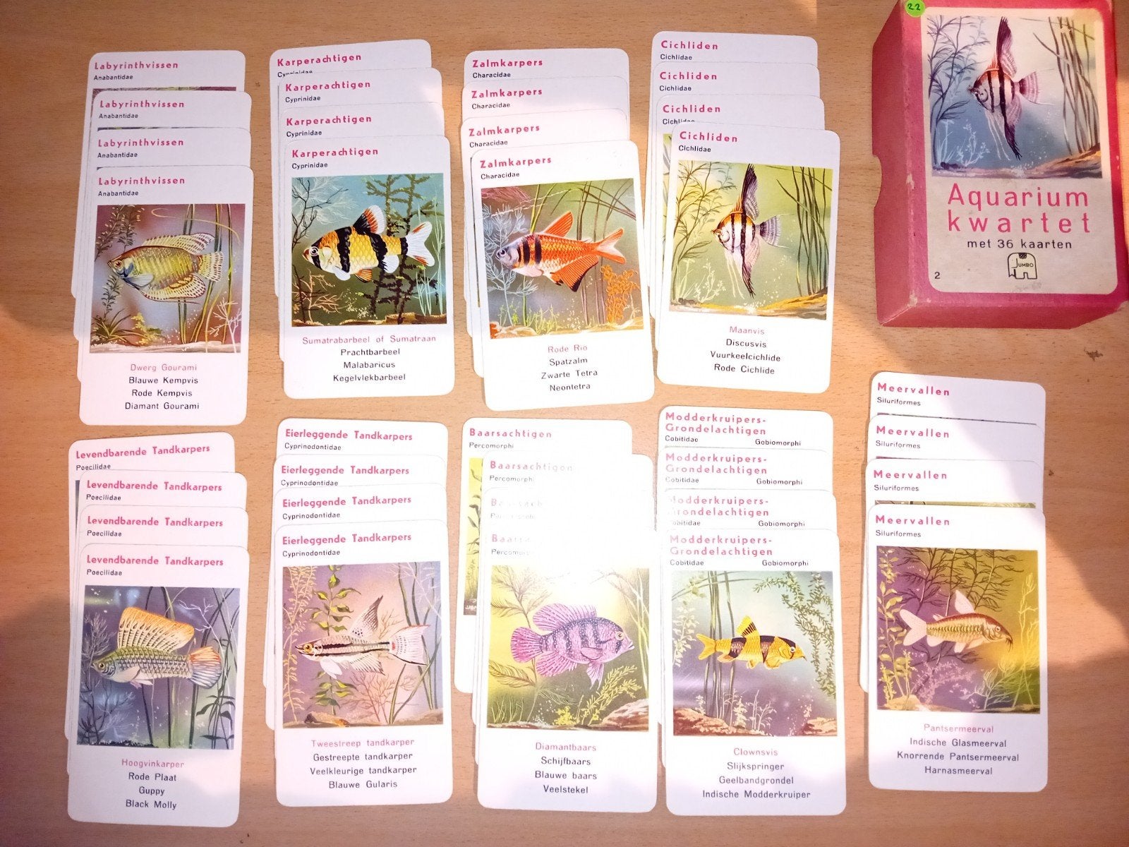 Vintage Jumbo Aquarium Kwartet – Nr. 2 – Compleet!, Ophalen of Verzenden, Gebruikt, Kwartet(ten)