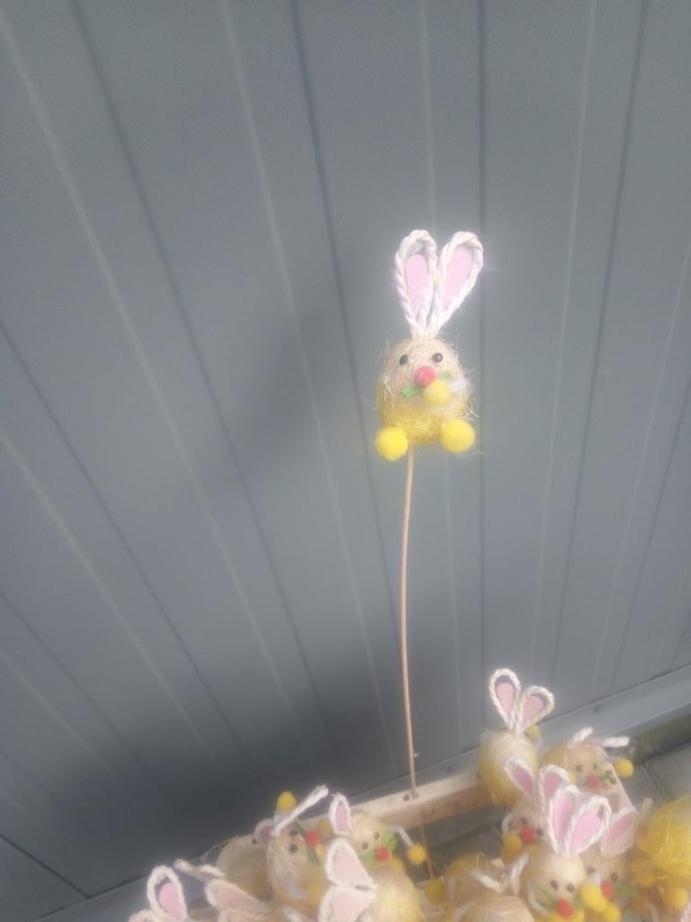 Paashaas in de vorm van een ei, Ophalen