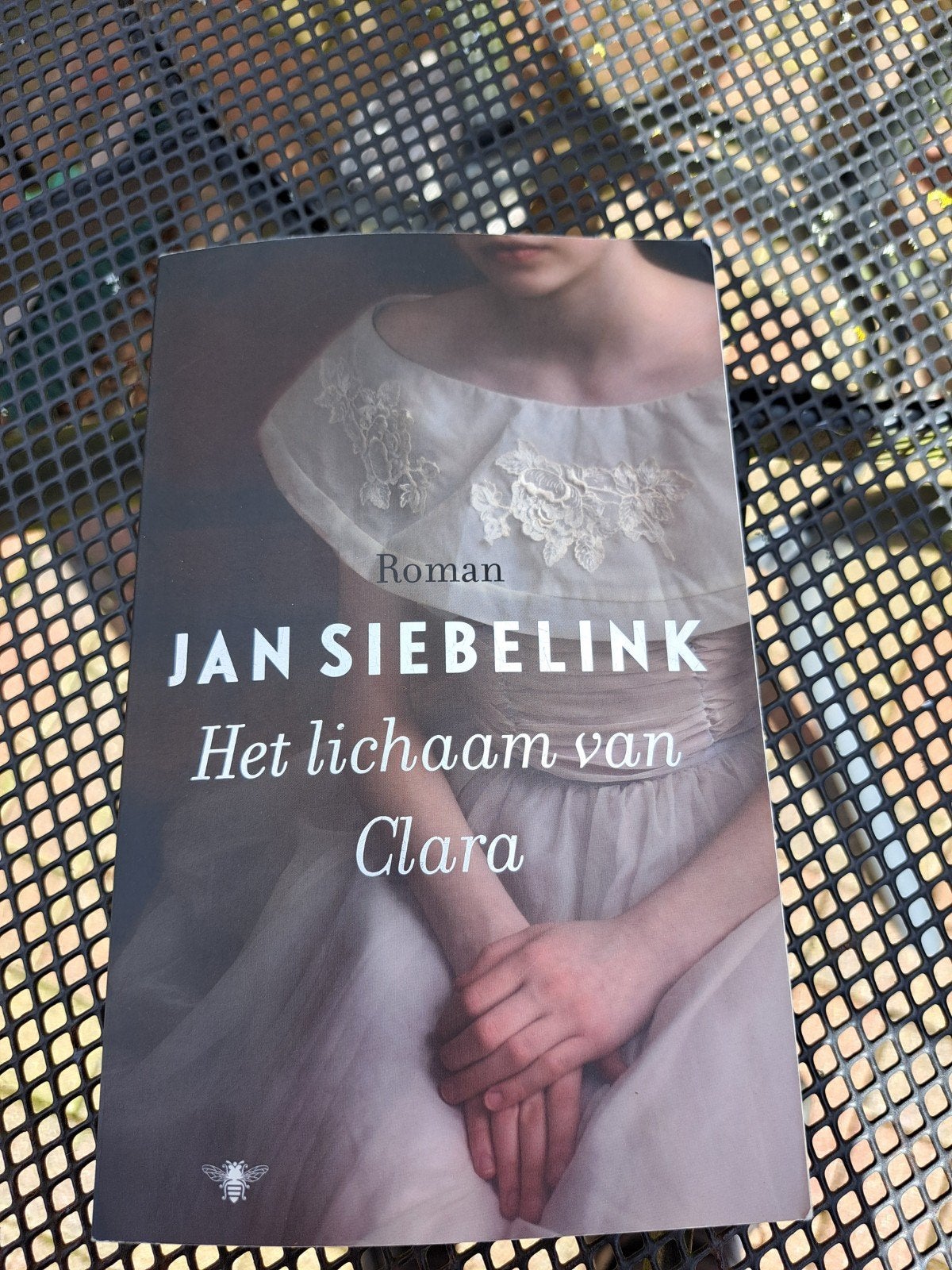 Jan Siebelink - Het lichaam van Clara (Roman), Ophalen of Verzenden, Zo goed als nieuw, Jan Siebelink