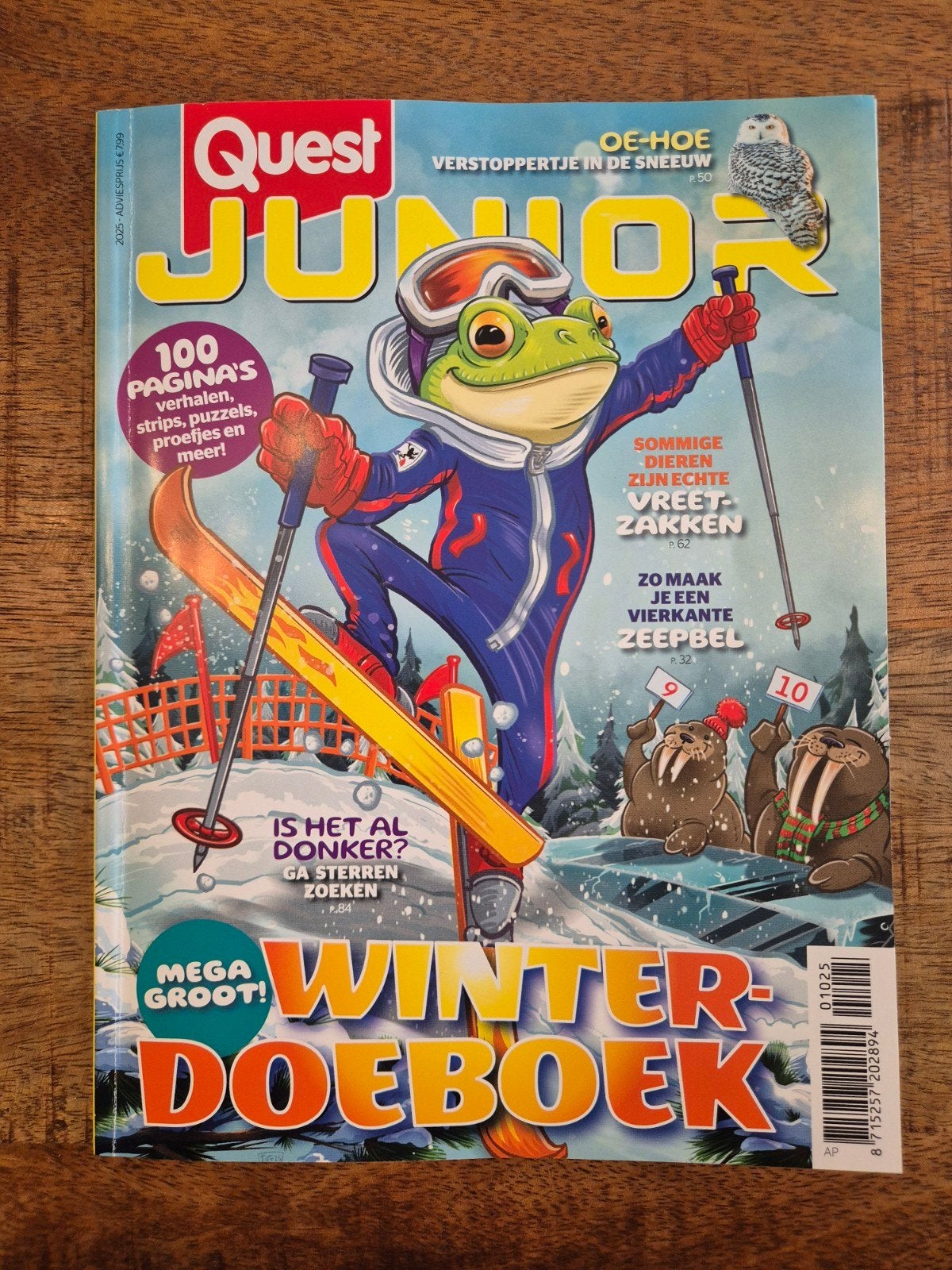 Quest Junior Winter Doeboek - Mega Groot!, Boeken, Ophalen of Verzenden, Zo goed als nieuw, Overige typen