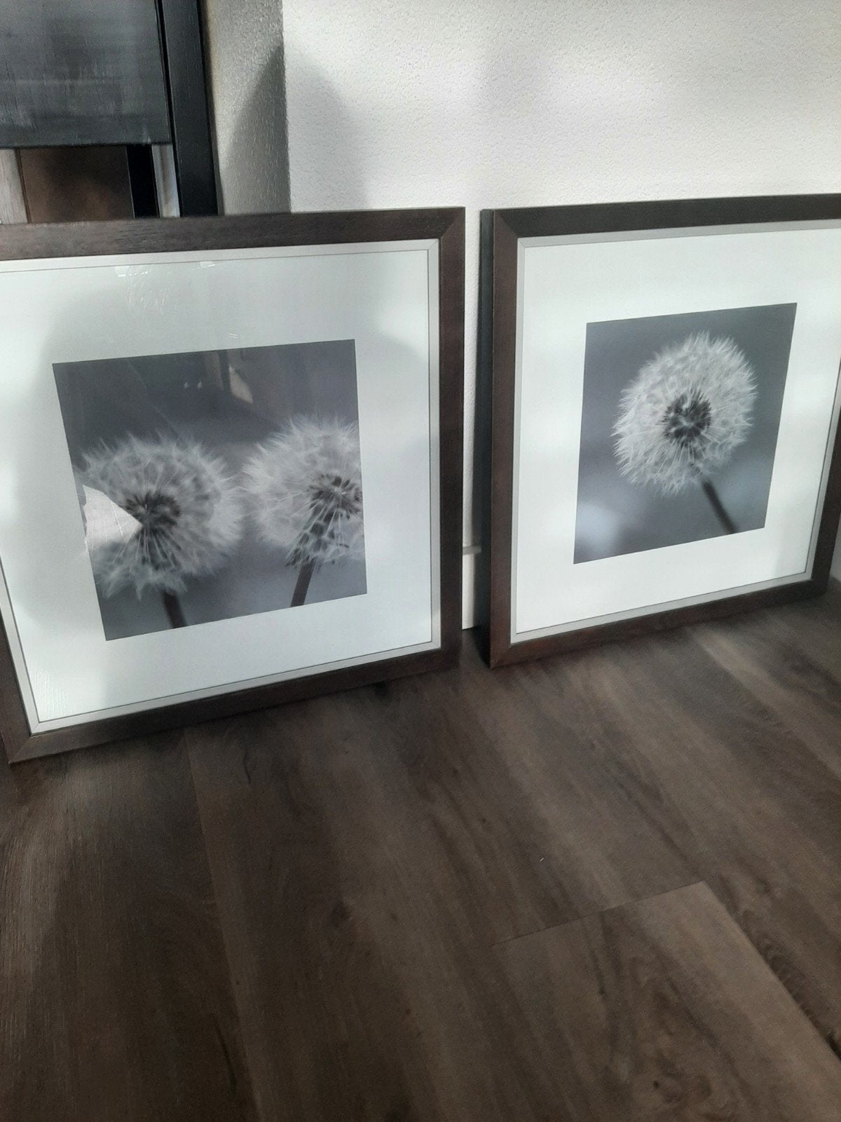 2 mooie printen in zware lijst ieders 55x55 cm samen 14,95, Ophalen, 50 – 75, Zo goed als nieuw, Schilderij