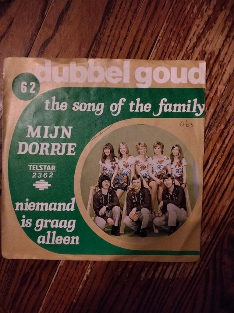 The song of the family, Cd's en Dvd's, Vinyl | Nederlandstalig, Ophalen of Verzenden, Gebruikt, Overige formaten, Levenslied of Smartlap