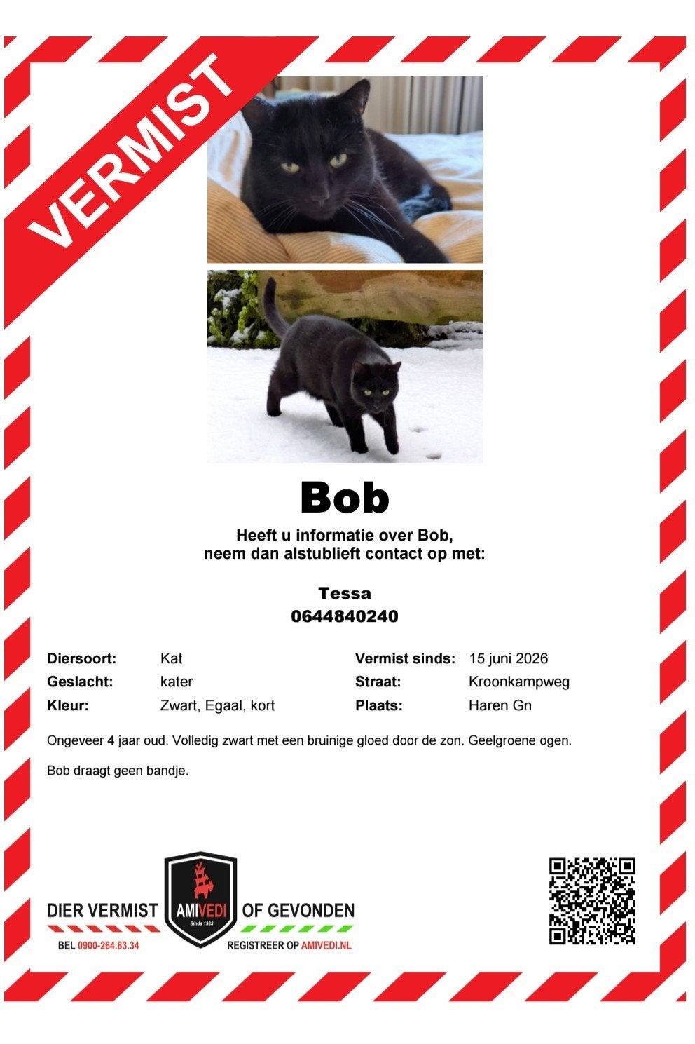 Kat sinds juni vermist, Kat