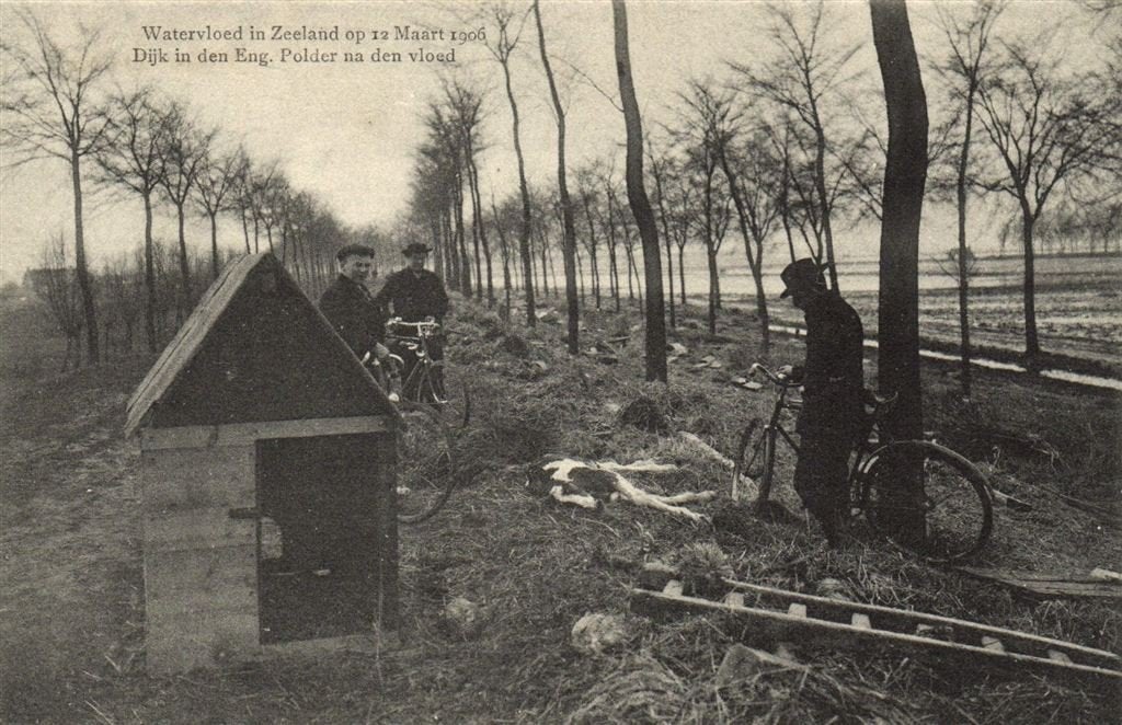 Watervloed in Zeeland. Dijk in den Eng. Polder na den vloed, Verzenden, Voor 1920, Ongelopen, Zeeland