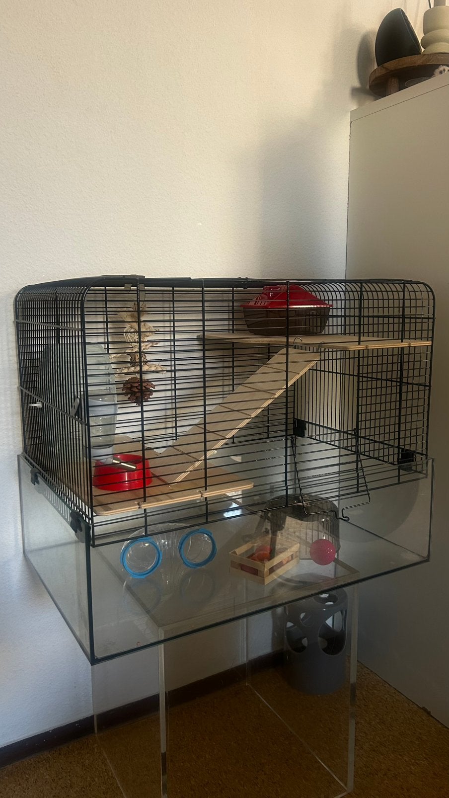 Hamsterkooi, Minder dan 60 cm, Kooi, Minder dan 75 cm, Ophalen of Verzenden
