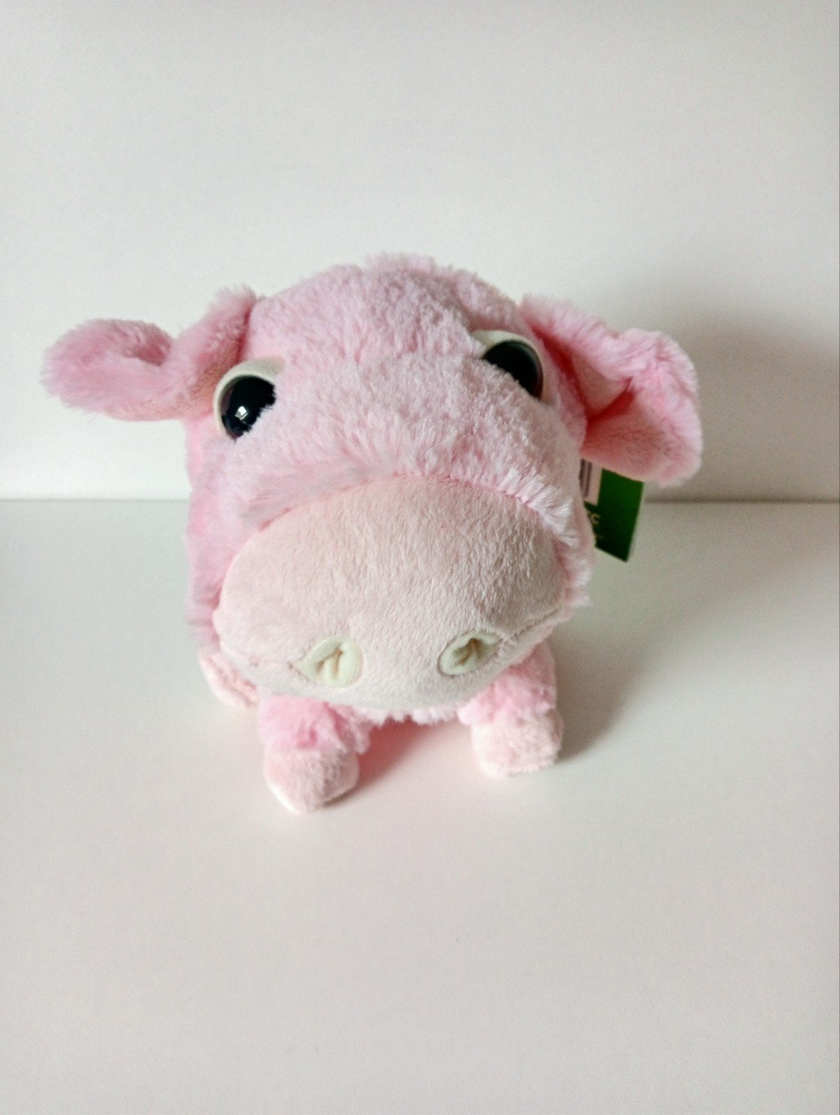 Big Headz Roze Varken Knuffel met label - is nieuw, Overige merken, Overige karakters, Overige typen, Nieuw