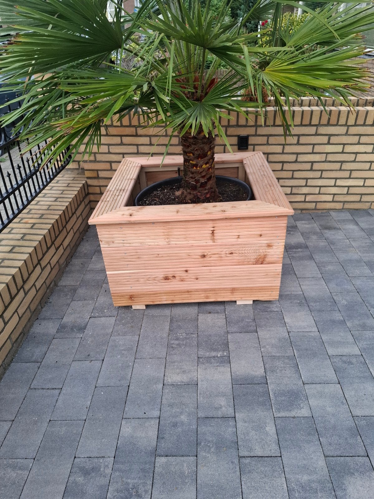 douglas Houten plantenbak voor tuin of balkon, Tuin en Terras, Ophalen, Vierkant, Nieuw, Balkon