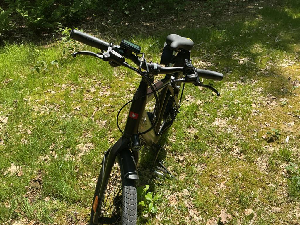 Stromer ST1 Speed Pedelec - RUILEN!!!, Fietsen en Brommers, Ophalen, Zo goed als nieuw, Overige merken