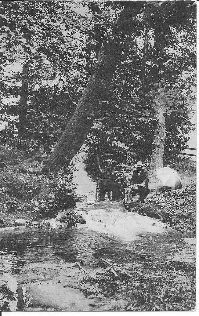 Kronkelend Beekje  Watervalletje   Oranje Nassauoord Renkum, Ophalen of Verzenden, 1920 tot 1940, Ongelopen, Gelderland