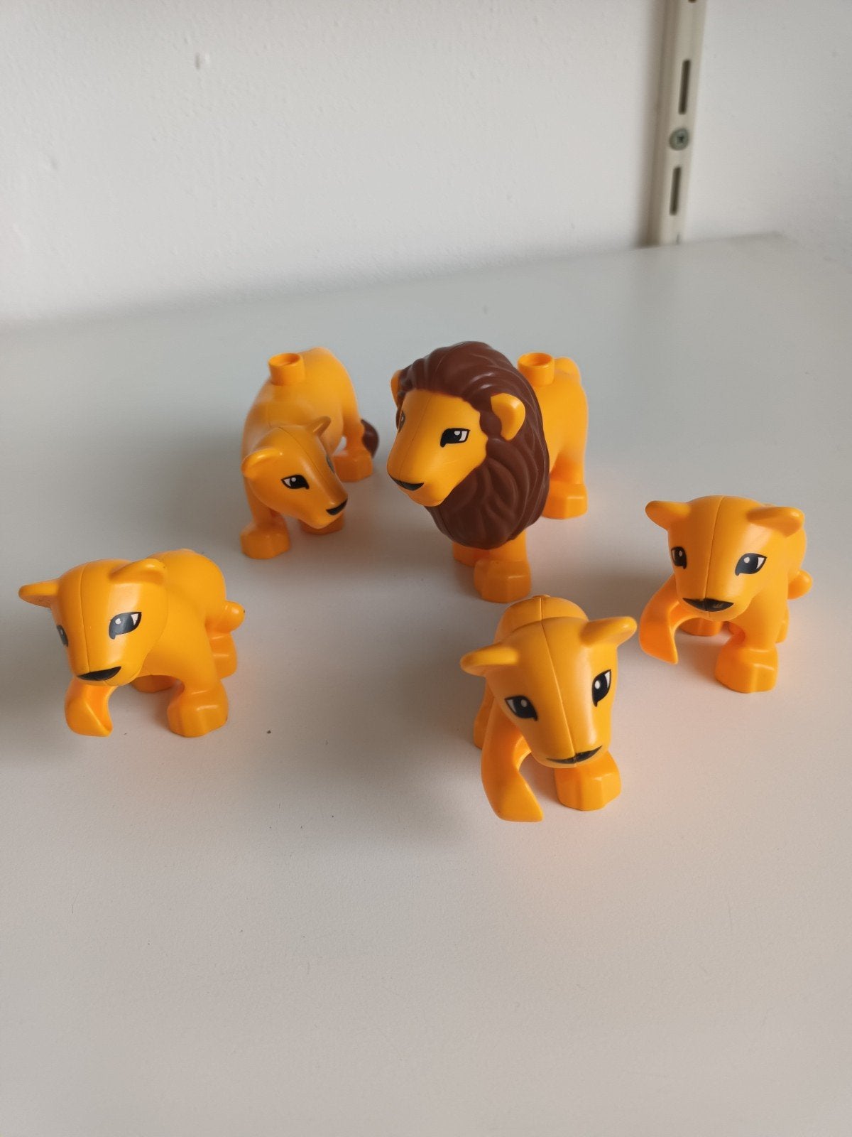 duplo dierentuin, Ophalen of Verzenden