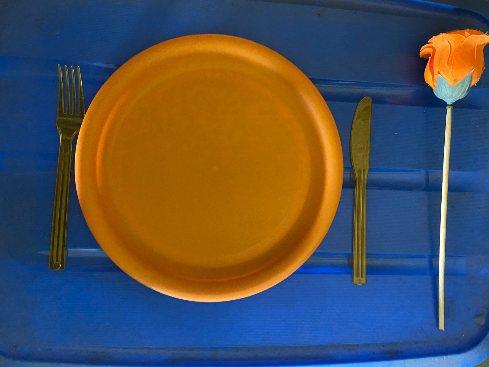 Wegwerp bestekset (vork en mes) met bord, Kunststof, Bestekset, Overige typen, Nieuw