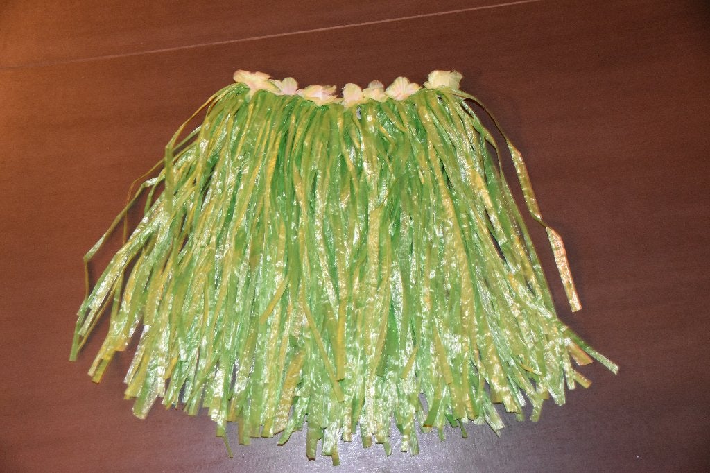 Groen stroken rokje, Ophalen of Verzenden, Zo goed als nieuw, Carnaval, Kleding