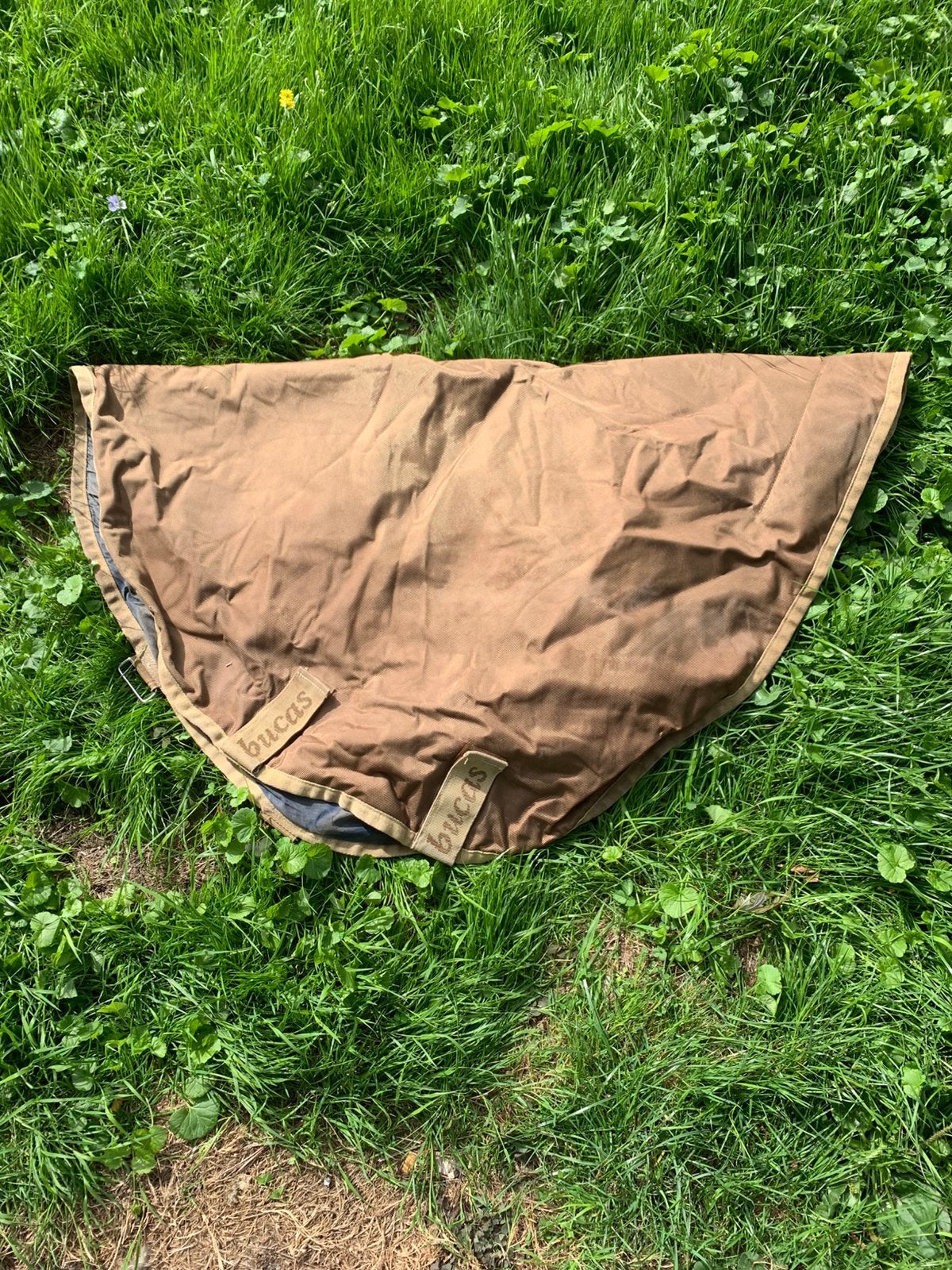 Bucas hals, Dieren en Toebehoren, Ophalen of Verzenden, Zo goed als nieuw